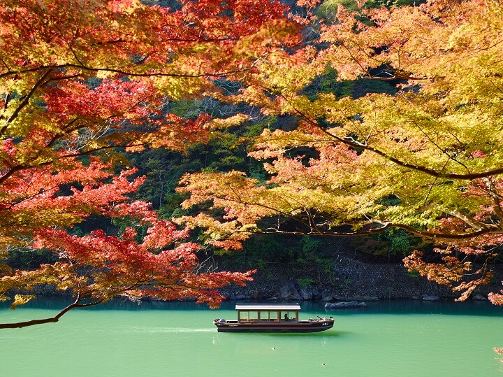 【虹夕诺雅 京都】 坐在船上欣赏枫叶的「早晨的枫叶船」企划